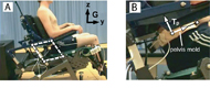 A: Adjustable and instrumented simulator chair containing the concept for independent pelvic rotation. G defines the global reference frame. B: Pelvis mold (PM) with reflective markers. The local pelvis frame (Tp) was constructed from reflective markers and defined pelvic orientation. 